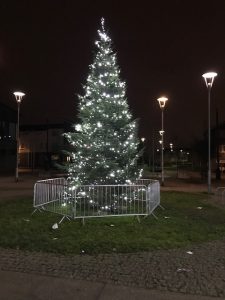 Brinnington Tree 2018