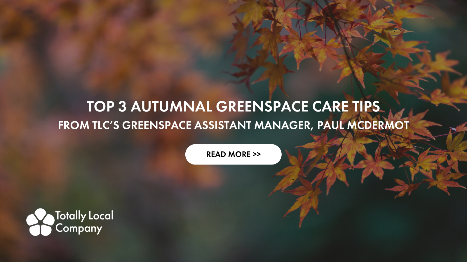 Top 3 Autumnal Greenspace Care Tips From TLC’s Greenspace Assistant Manager, Paul Mcdermot