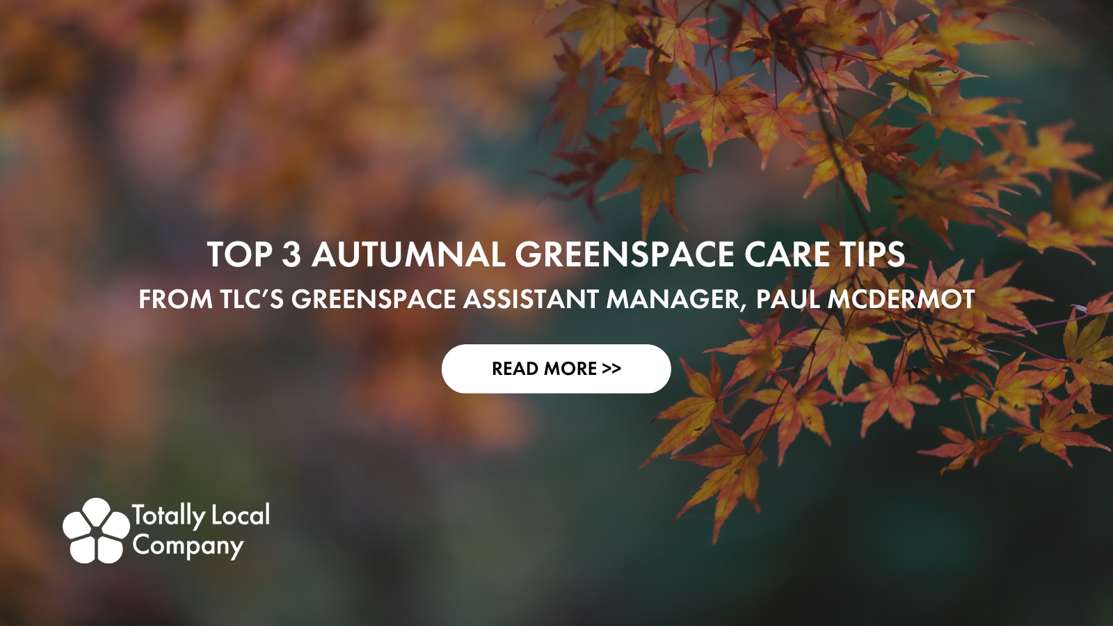 Top 3 Autumnal Greenspace Care Tips From TLC’s Greenspace Assistant Manager, Paul Mcdermot 